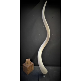 Koudou polished horn bone on pedestal
