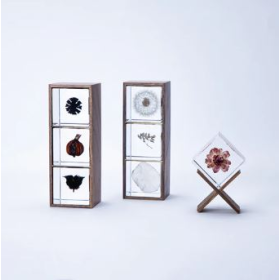 Display for Sola Cube 3 boxes.