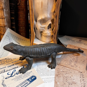 Salamander - Pharmacy corkscrew in bronze - XIXth century