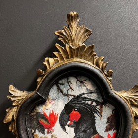 Baroque frame by John Byron - Black Palm Cockatoo