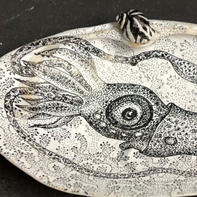 Coquillage dessiné à la main par fish & freaks - Seiche blanche - Pieuvre