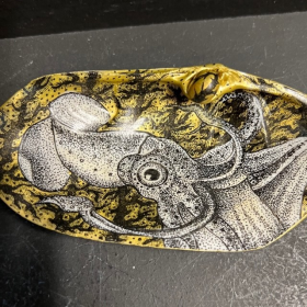 Coquillage dessiné à la main par fish & freaks - Seiche noire - Pieuvre