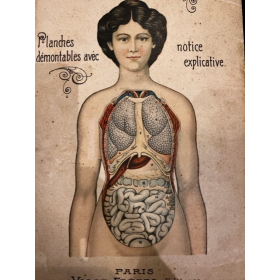 Le corps humain - Anatomie de la Femme - circa 1900 par VIGOT Frères éditeurs