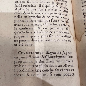 L'Albert Moderne ou nouveaux secrets éprouvés et licites - Livre grimoire de1768