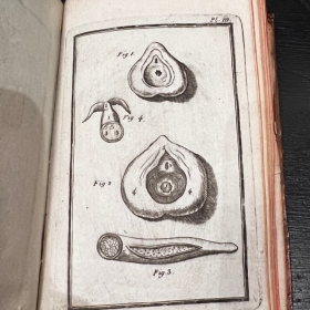 De l'Homme et de la Femme - Par M. de Lignac - Tome 3 - Anatomie de la procréation - 1779