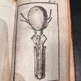 De l'Homme et de la Femme - Par M. de Lignac - Tome 3 - Anatomie de la procréation - 1779