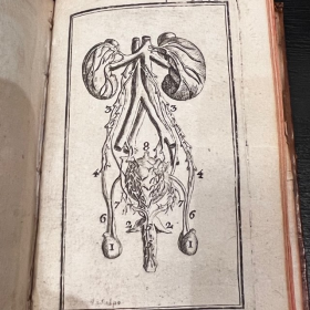 De l'Homme et de la Femme - Par M. de Lignac - Tome 3 - Anatomie de la procréation - 1779