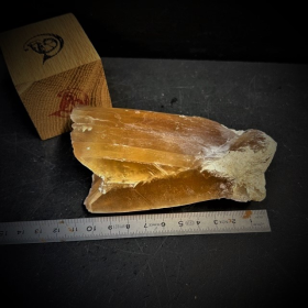 Spearhead gypsum crystal from Seine et Marne - Size L