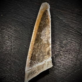 Cristal en Fer de lance de gypse de Seine et Marne - Taille M - Pierre à plâtre