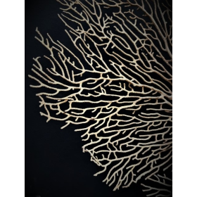 Brown lace gorgonian on a base - Brown Whip Coral