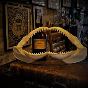 Blacktip shark jaws -...