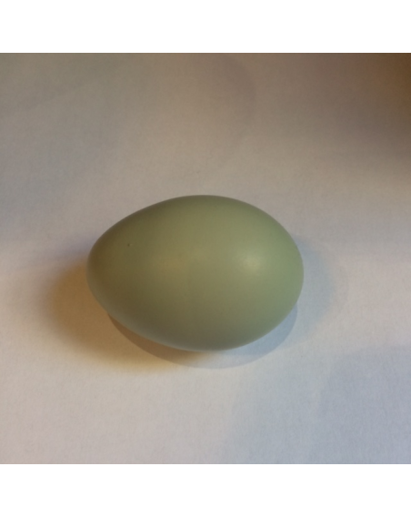 Pheasant's egg