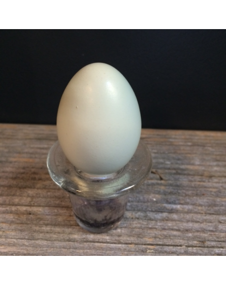 Pheasant's egg
