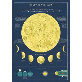 Chart of the Moon poster