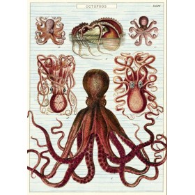 vintage poster octopus