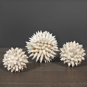 Sphère de coquillages coniques
