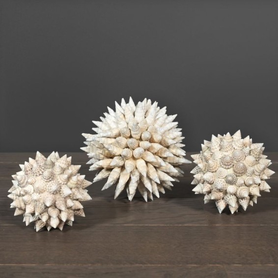 Sphère de coquillages coniques