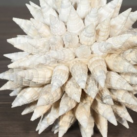 Conical shell sphere