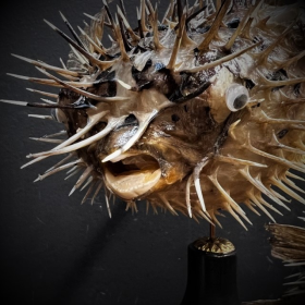 Diodon fish - Porcupinefish on wooden pedestal