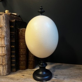 Ostrich egg mounted on a...