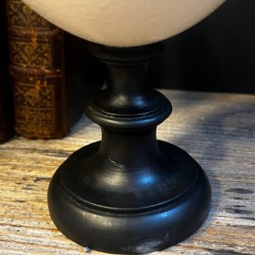 Ostrich egg mounted on a wooden base