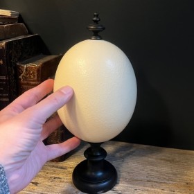 Oeuf d'autruche monté sur socle en bois