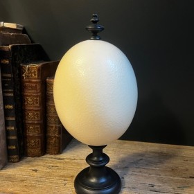 Oeuf d'autruche monté sur socle en bois