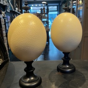 Ostrich egg mounted on a wooden base