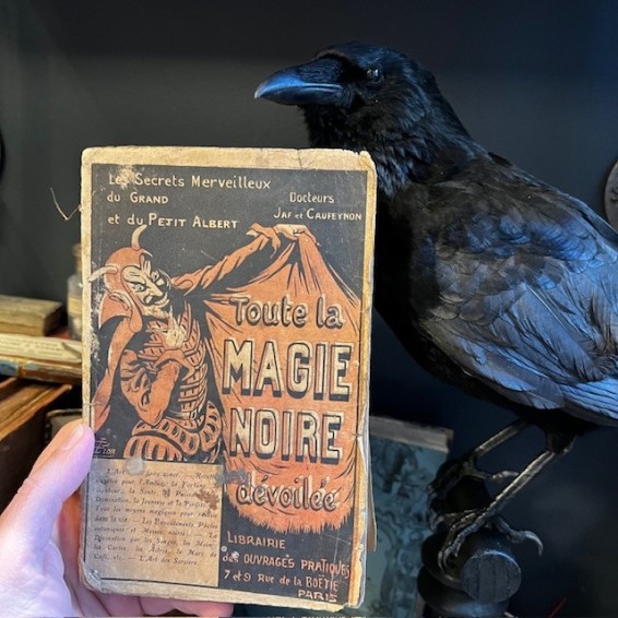 Toute la Magie Noire dévoilée - Paperback on Dark Magic - 1905 