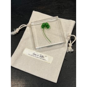 Four-leaf clover - 4-leaf clover - Botanical inclusion