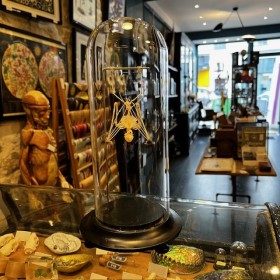 Squelette de Chauve-souris suspendue sous globe: Hipposideros