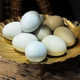 Oeuf de poule naturellement...