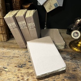 Decayed book notebook of Merci Louis manufacturer - Fleur de Lys model
