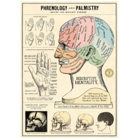 Palmology poster