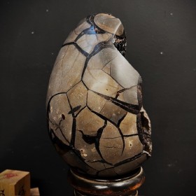Dragon Stone - Septaria egg...