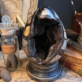 Dragon Stone - Septaria egg...