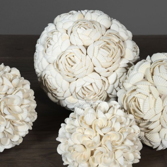 Shell sphere - Anadara granosa