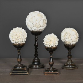 Sphère de coquillages Anadara granosa