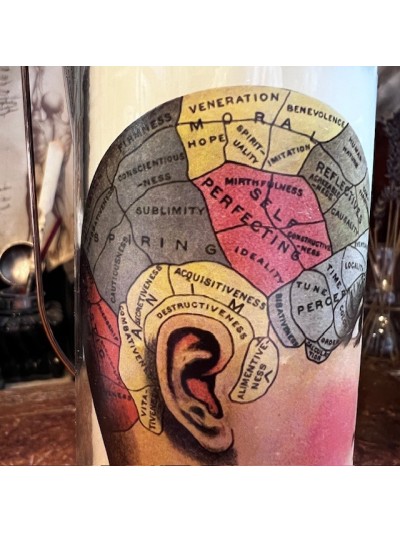 Bougie en verre parfumée - Phrénologie - Ambre noir et cuir