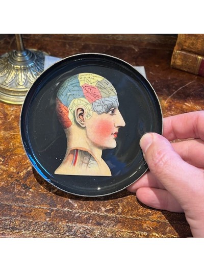Round Phrenology Trinket -...