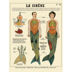 Affiche Créatures Fantastiques et Chimères