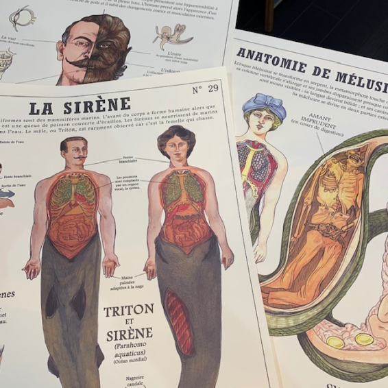 FantasticCreatures and Fancies chart by Camille Renversades FantasticCreatures and Fancies chart by Camille Renversades