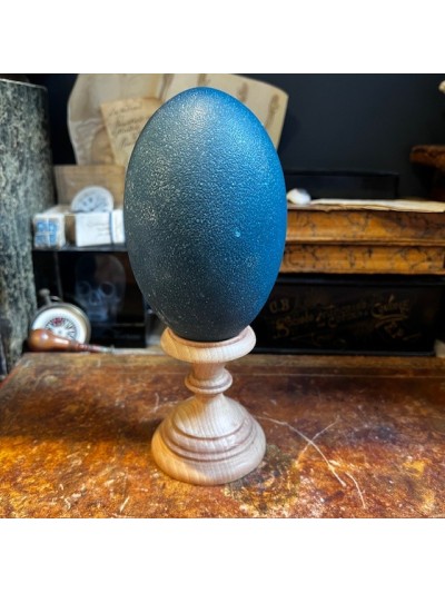 Emu egg - Empty egg