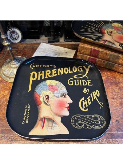 SQUARE Phrenology Trinket -...