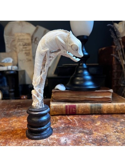 Caméléon - Sculpture sur...