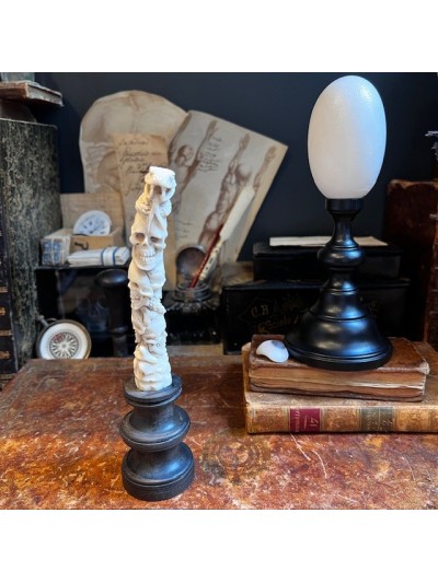 Crânes et serpent -...