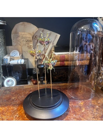 Jeweled flower mantis under...