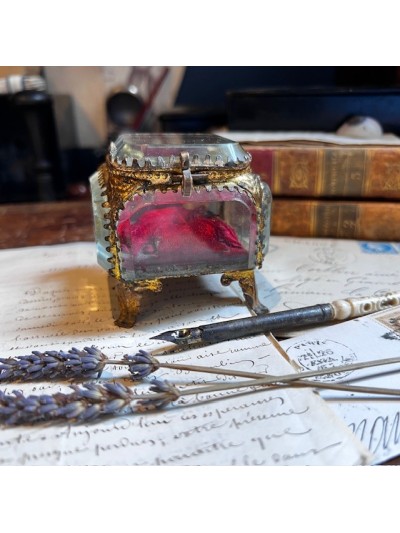 Boîte reliquaire en verre...