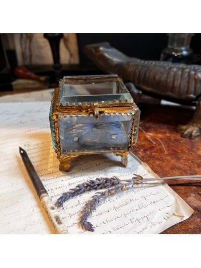 Boîte reliquaire en verre...