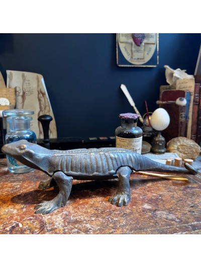 Salamander - Pharmacy...